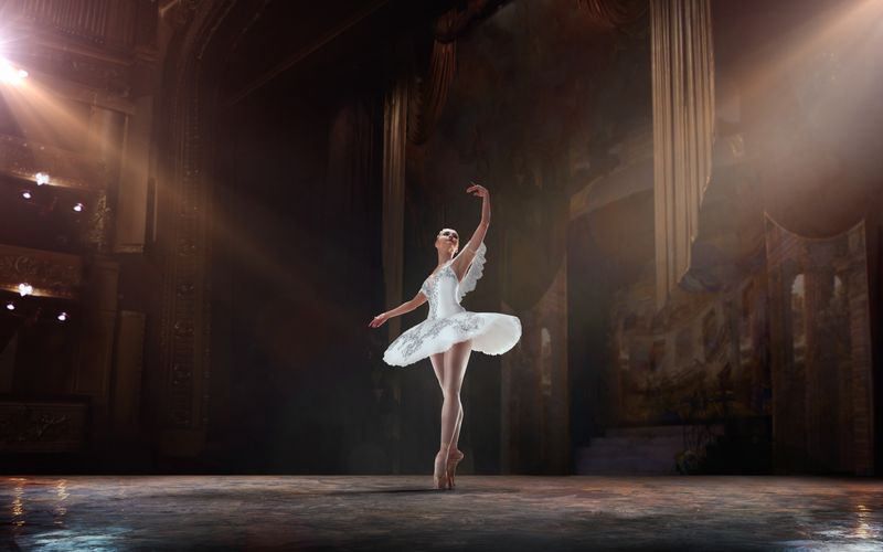 Cover image for The Ballet Dancer's Visa