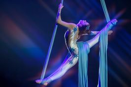 Cover image for The Aerial Dancer Visa